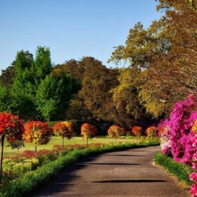 Jardin